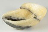 Banded Zebra Calcite Dish - Mexico #194180-2